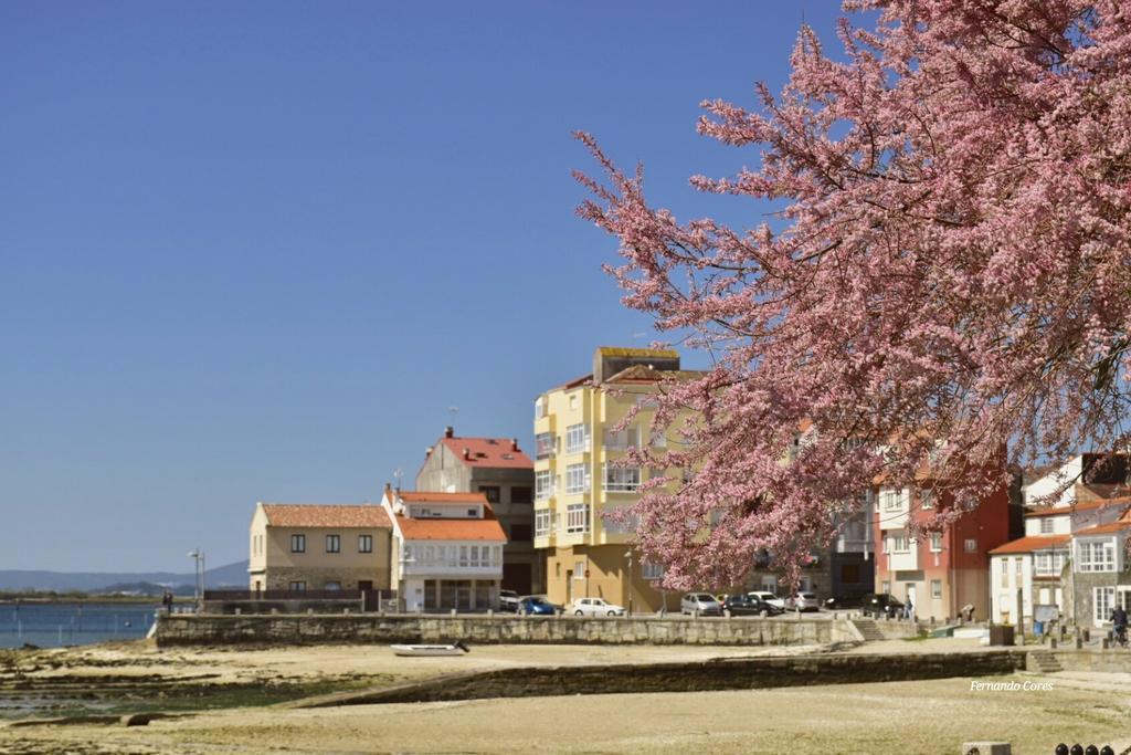 A Esmorga-Posada Del Mar Вілагарсія-де-Ароуса Екстер'єр фото